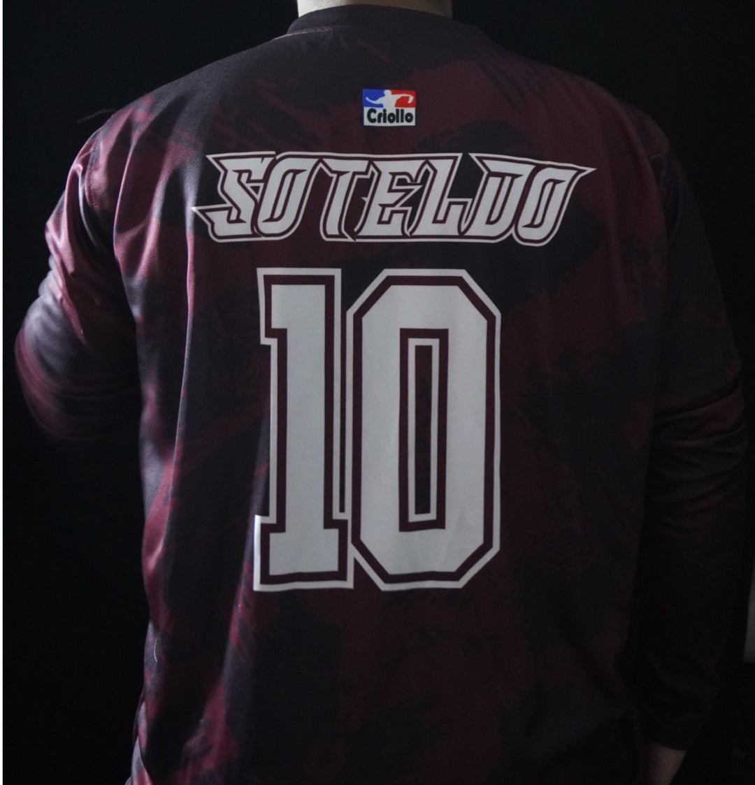 Polera Manga larga la Vinotinto Soteldo 10
