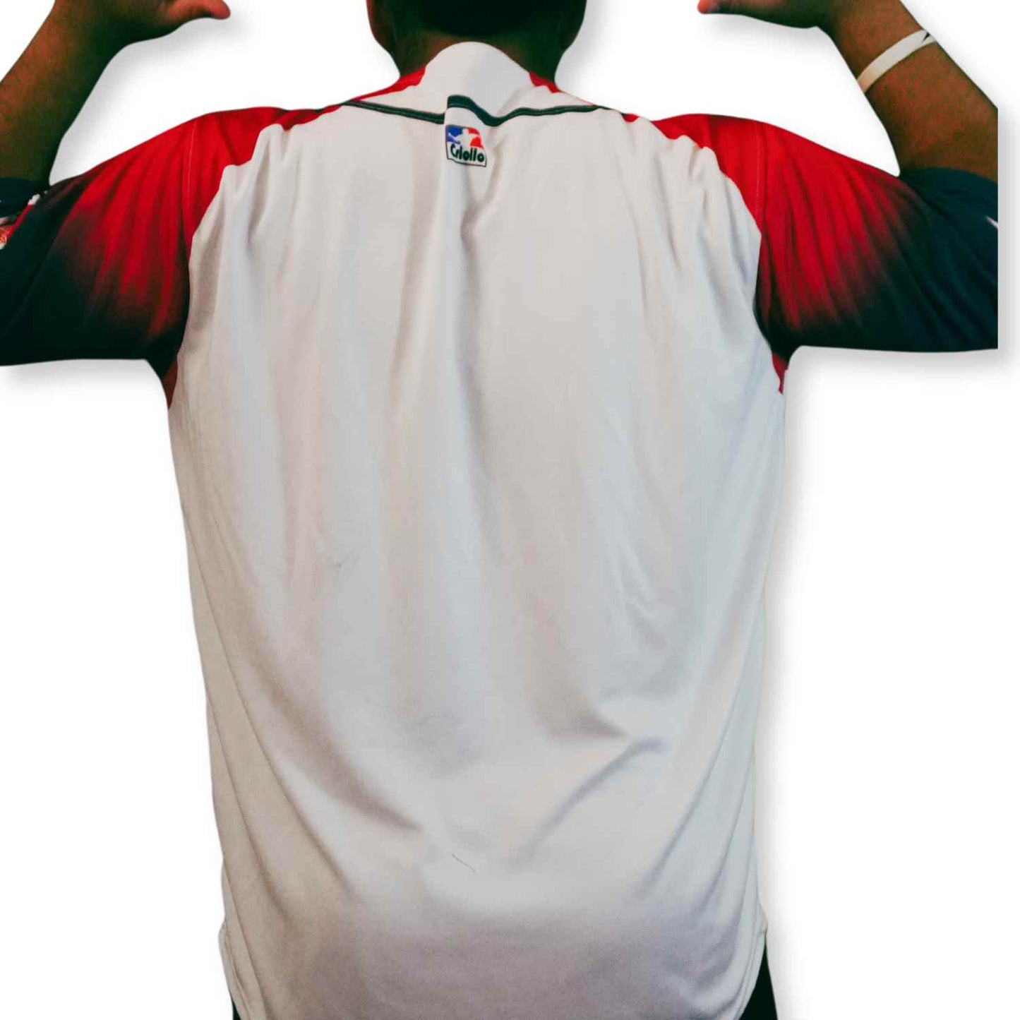 Camiseta de Beisbol Chile selección full botón